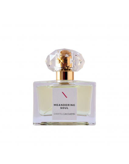 CHRISTELE JACQUEMIN - MEANDERING SOUL