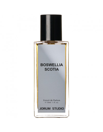 JORUM STUDIO - BOSWELLIA SCOTIA