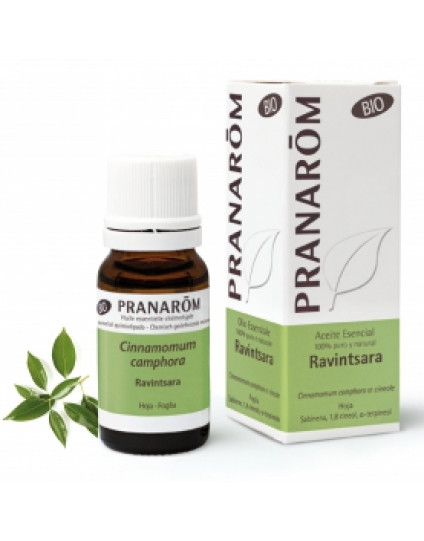 PRANAROM RAVINTSARA OLIO ESSENZIALE 10ML